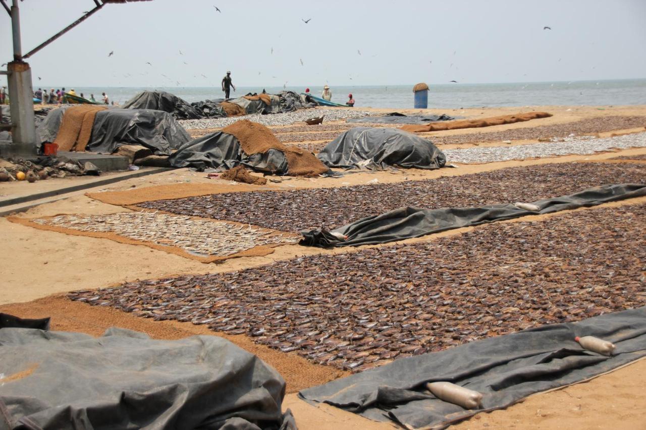 Hotel 198 Negombo Dış mekan fotoğraf